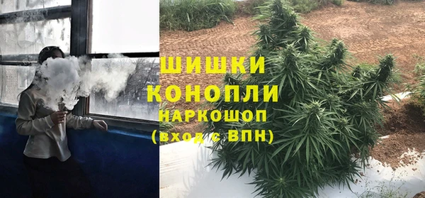стафф Каменногорск