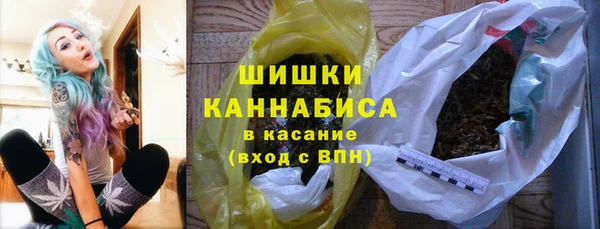 прущие грибы Нея