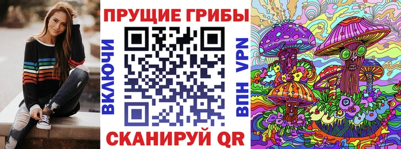 где продают наркотики  Зеленодольск  Псилоцибиновые грибы Psilocybine cubensis 